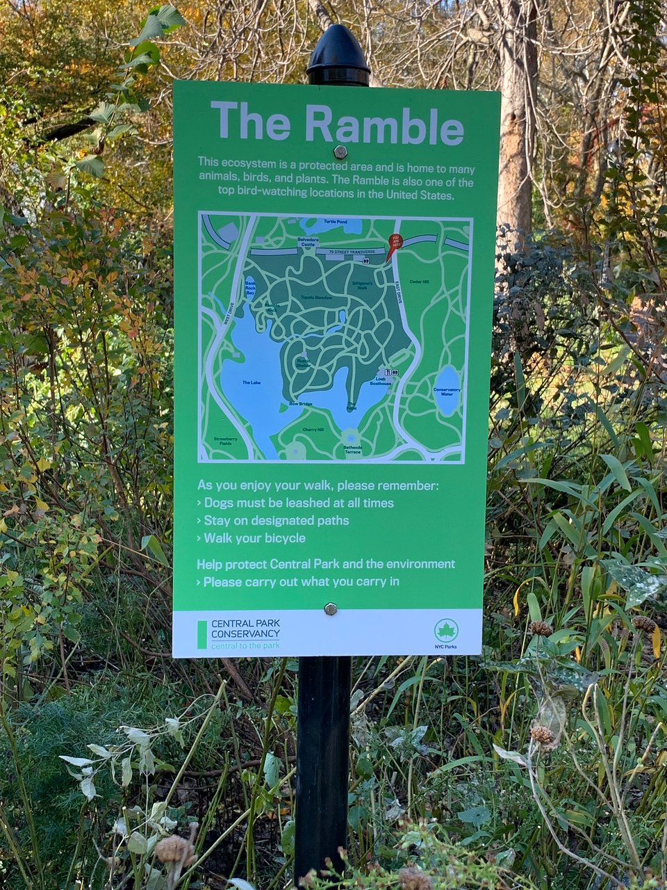 The Ramble (New York City) - 2020 All You Need to Know Before You ...
